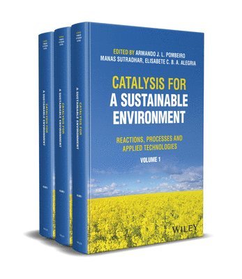 bokomslag Catalysis for a Sustainable Environment