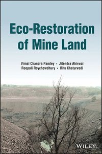 bokomslag Eco-Restoration of Mine Land