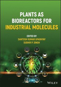 bokomslag Plants as Bioreactors for Industrial Molecules