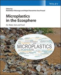 bokomslag Microplastics in the Ecosphere