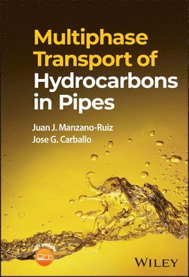 Multiphase Transport of Hydrocarbons in Pipes 1