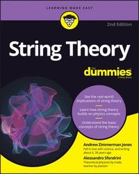 bokomslag String Theory For Dummies