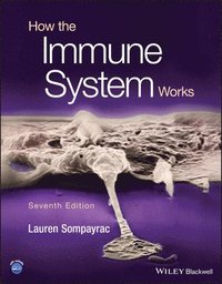bokomslag How the Immune System Works