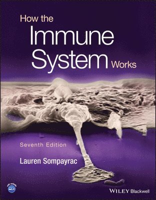 bokomslag How the Immune System Works