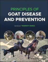 bokomslag Principles of Goat Disease and Prevention