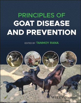 Tanmoy Rana - Principles of Goat Disease and Prevention, Inbunden