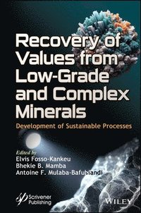 bokomslag Recovery of Values from Low-Grade and Complex Minerals