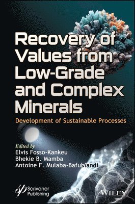 Elvis Fosso-Kankeu, Bhekie B. Mamba, Antoine F. Mulaba-Bafubiandi - Recovery of Values from Low-Grade and Complex Minerals, Inbunden