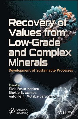 Recovery of Values from Low-Grade and Complex Minerals 1