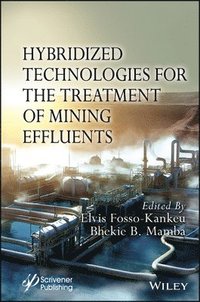 bokomslag Hybridized Technologies for the Treatment of Mining Effluents