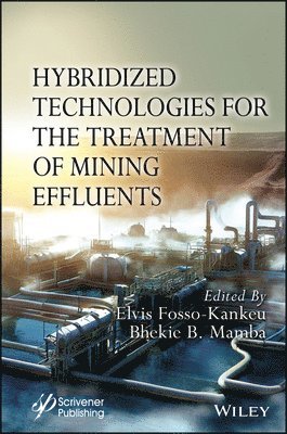 Elvis Fosso-Kankeu, Bhekie B. Mamba - Hybridized Technologies for the Treatment of Mining Effluents, Inbunden