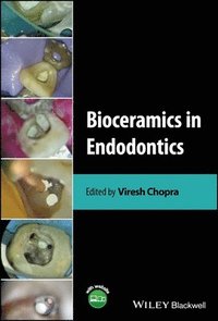 bokomslag Bioceramics in Endodontics