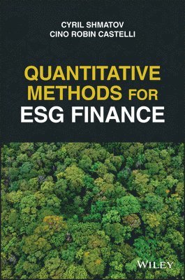 bokomslag Quantitative Methods for ESG Finance