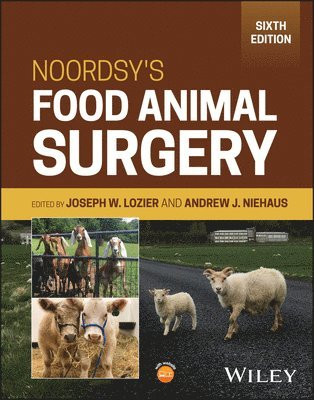 bokomslag Noordsy's Food Animal Surgery