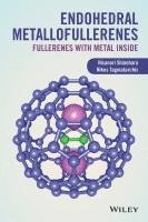 bokomslag Endohedral Metallofullerenes