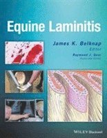bokomslag Equine Laminitis