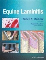 Equine Laminitis 1