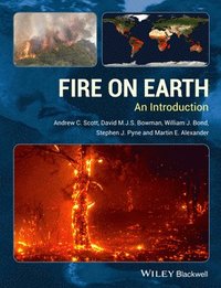 bokomslag Fire on Earth