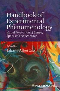 bokomslag Handbook of Experimental Phenomenology