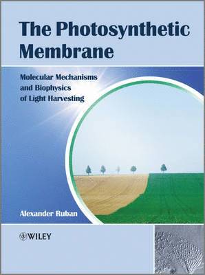 bokomslag Photosynthetic Membrane