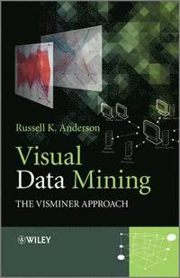 bokomslag Visual Data Mining