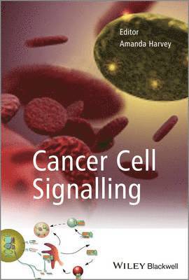 Amanda Harvey - Cancer Cell Signalling, Inbunden