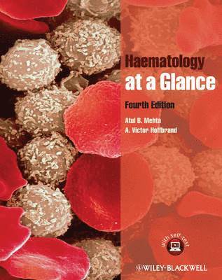 bokomslag Haematology at a Glance