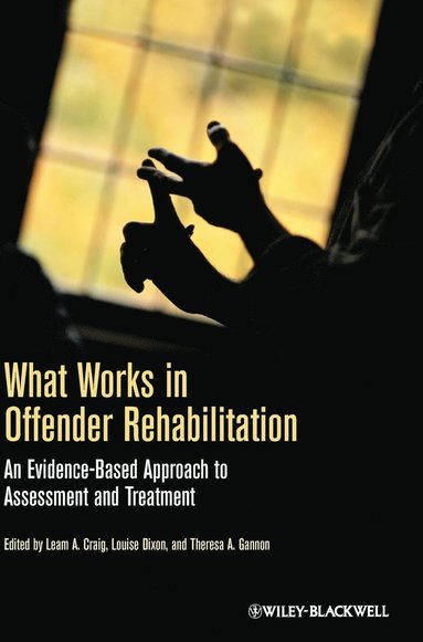 Leam A Craig, Theresa A Gannon, Louise Dixon - What Works in Offender Rehabil, Inbunden