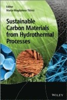 bokomslag Sustainable Carbon Materials from Hydrothermal Processes