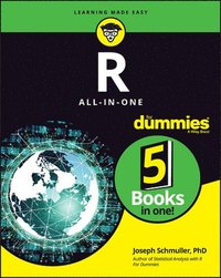 bokomslag R All-in-One For Dummies