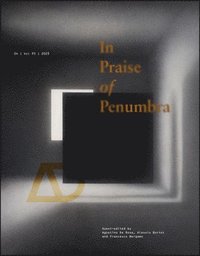 bokomslag In Praise of Penumbra