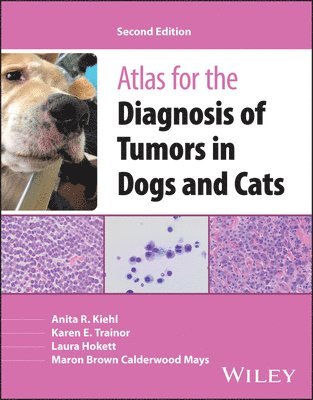 bokomslag Atlas for the Diagnosis of Tumors in Dogs and Cats