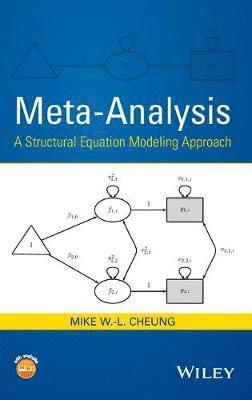 bokomslag Meta-Analysis