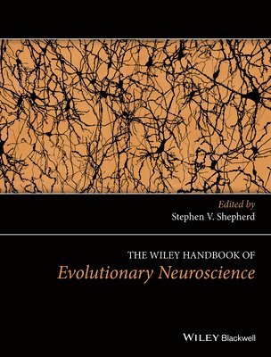 bokomslag The Wiley Handbook of Evolutionary Neuroscience