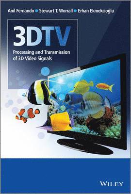 3DTV 1