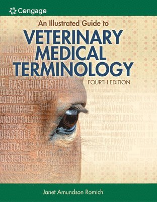 bokomslag Illustrated Guide to Veterinary Medical Terminology
