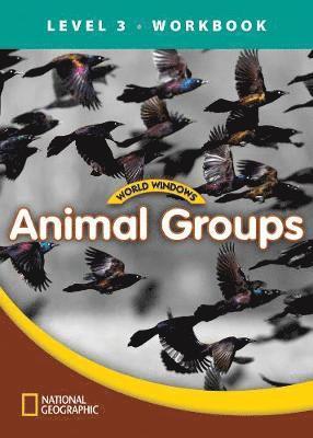 bokomslag World Windows 3 (Science): Animal Groups Workbook