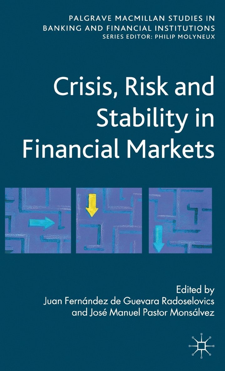Juan Fernandez de Guevara Radoselovics, Jose Pastor Monsalvez, Kenneth A. Loparo, Juan Fernández de Guevara Radoselovics, Kenneth A Loparo - Crisis, Risk and Stability in Financial Markets, Inbunden