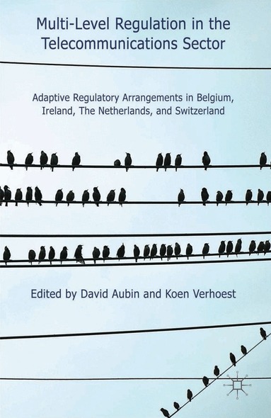 D. Aubin, K. Verhoest - Multi-Level Regulation in the Telecommunications Sector, Inbunden