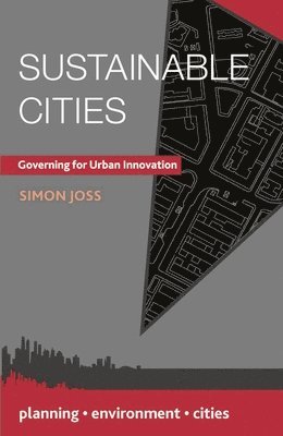 bokomslag Sustainable Cities