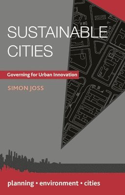 bokomslag Sustainable Cities