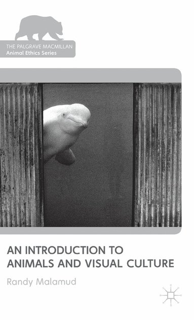 bokomslag Introduction to Animals and Visual Culture