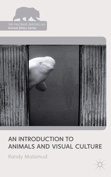 R. Malamud - Introduction to Animals and Visual Culture, Häftad