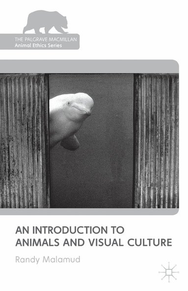 bokomslag Introduction to Animals and Visual Culture