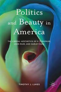 bokomslag Politics and Beauty in America