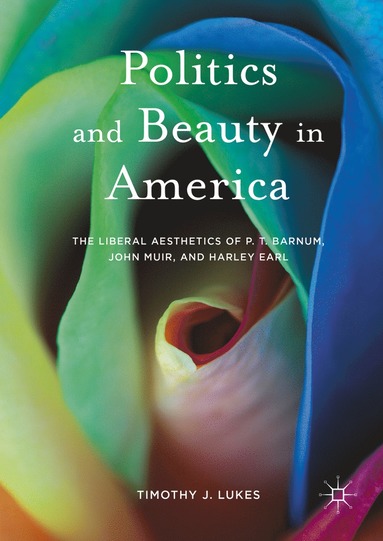 bokomslag Politics and Beauty in America