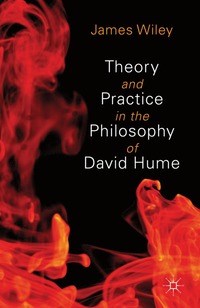 bokomslag Theory and Practice in the Philosophy of David Hume