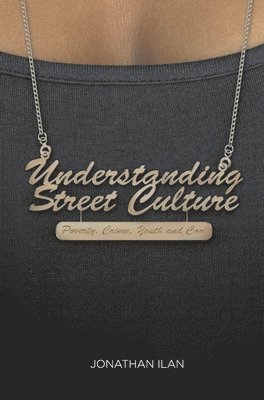 bokomslag Understanding Street Culture