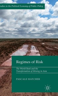 bokomslag Regimes of Risk
