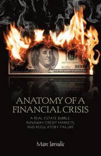 bokomslag Anatomy of a Financial Crisis